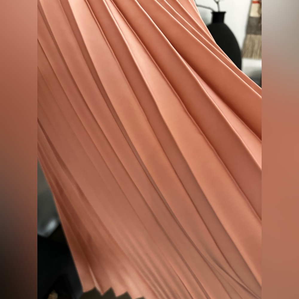 joie Pleated Maxi Skirt - Picture 4 of 10